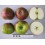 Twenty Ounce Apple