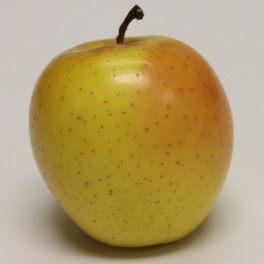 Orin Apple