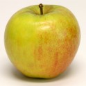 Cox's Orange Pippin Apple