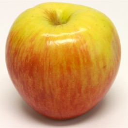 Tsugaru Apple