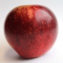 King Solomon Apple