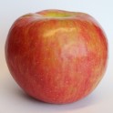 Wagener Apple