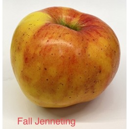 Fall Jenneting Apple