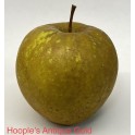 Hoople's Antique Gold Apple